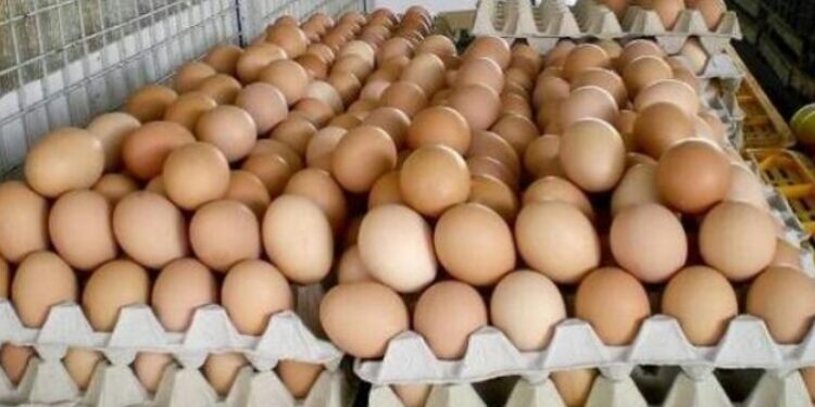eggs eggs