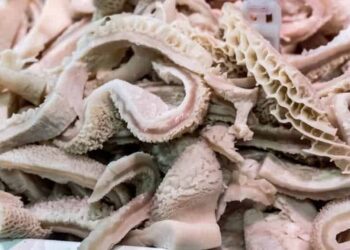 tripe