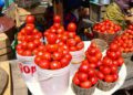 Tomatoes