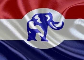 flag npp