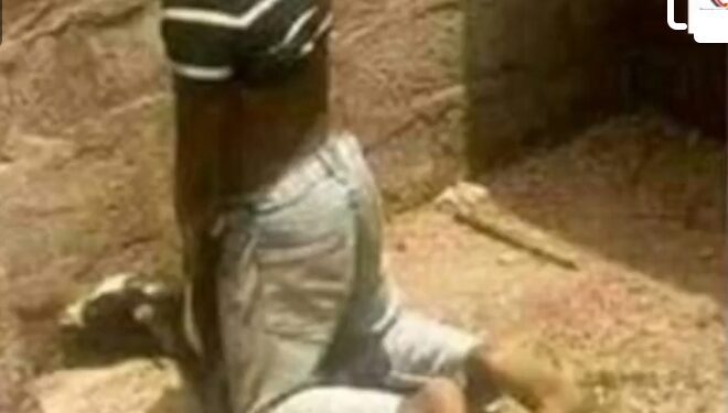 Screenshot_20230811-133044