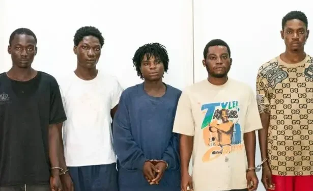 500179978_1132984475526071_6724754550168474228_n-615x410