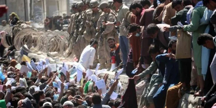 Afghans