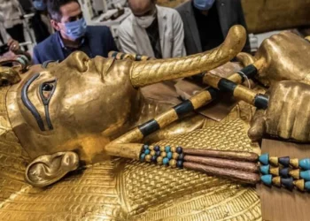 Egypt’s Grand Museum opens, displaying Tutankhamun tomb in full for first time