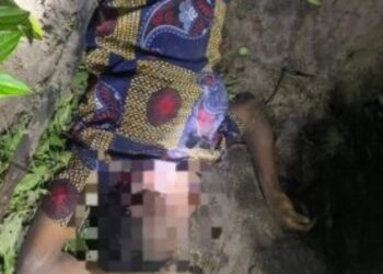 Screenshot_20251108-210603