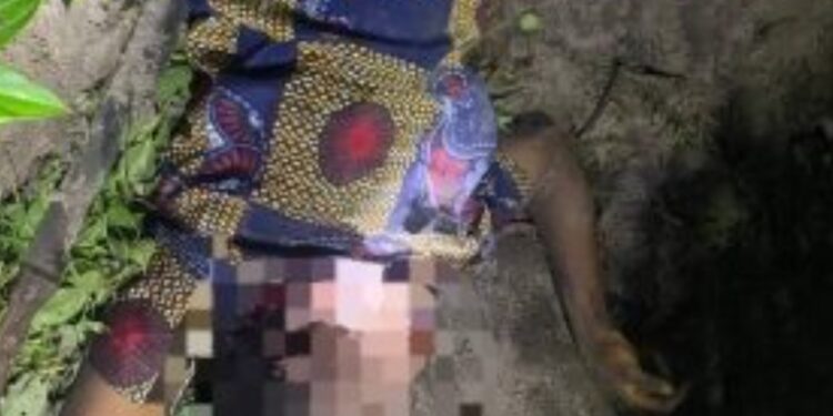 Screenshot_20251108-210603