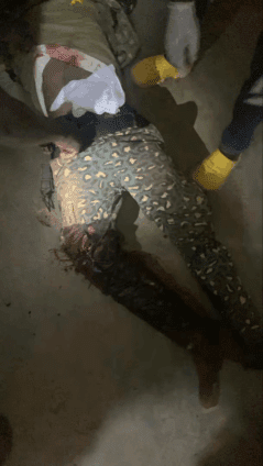 image-169-239x424 (1)