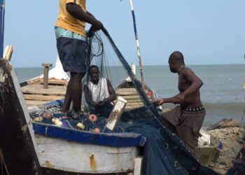 WhatsApp-Image-2024-07-22-at-19.49.09_1673501d