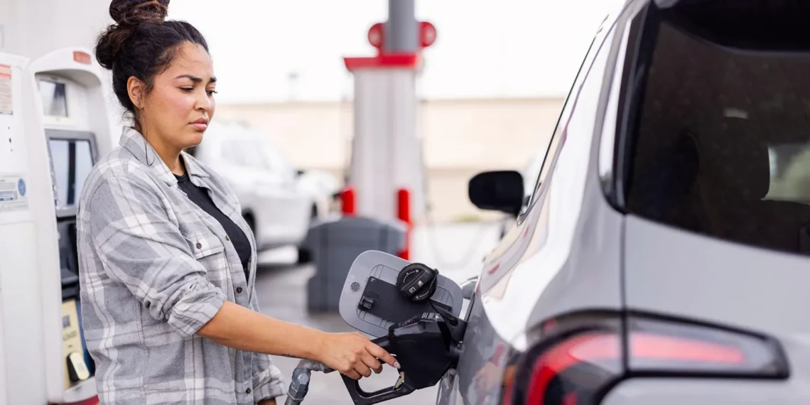 fe4f2a80-3e21-11f1-8ba5-cfdd8d3337ac.jpg (1)