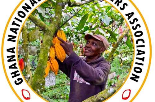 1114202133738-g40n1r5edy-cocoa-farmers-pension-scheme