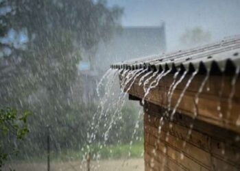 524202630811-typbsferqm-2252026120648-rvmypdb553-rainfall-and-crop-production-21
