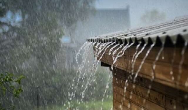 524202630811-typbsferqm-2252026120648-rvmypdb553-rainfall-and-crop-production-21